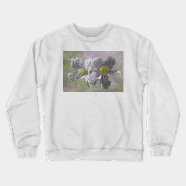 Lavender Trumpet Vine Flower Digital Art Crewneck Sweatshirt by ButterflyInTheAttic